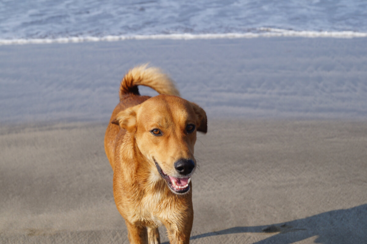 "...Мы живем потому, что умеем любить, а любим потому, что умеем прощать..."  (Цитата из романа. Фото автора)