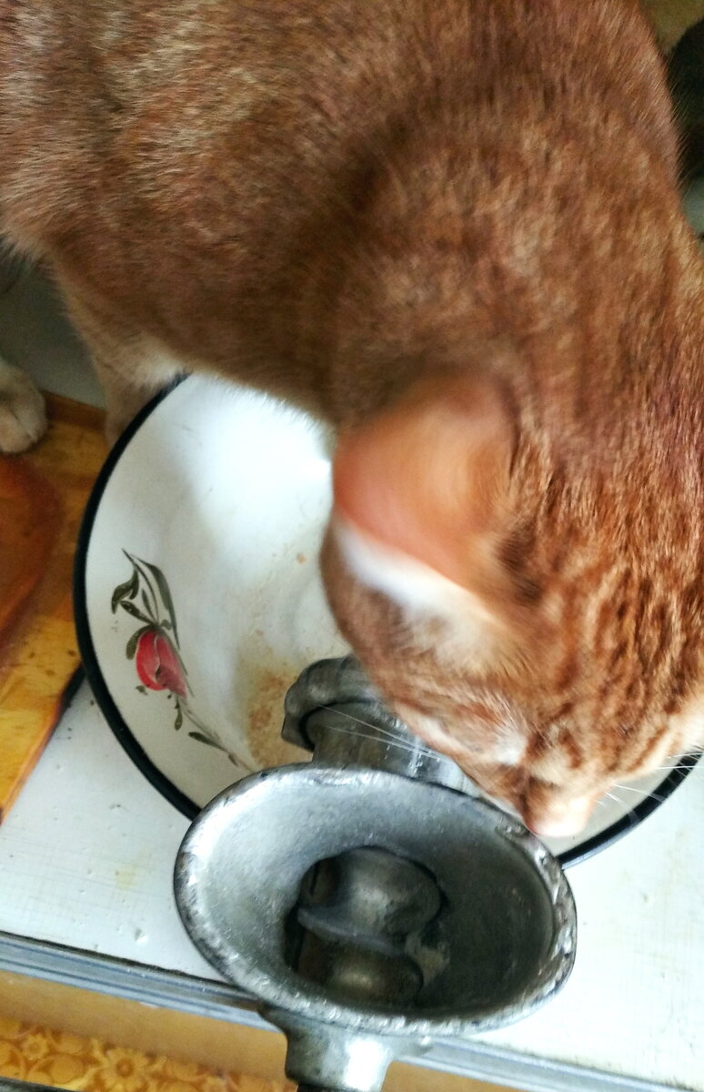 Личное фото.