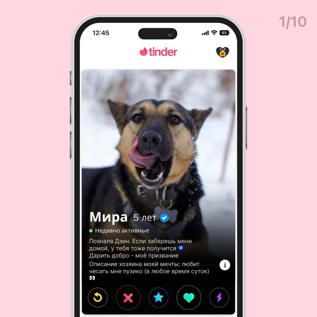 Мира ищет дом на Тиндере