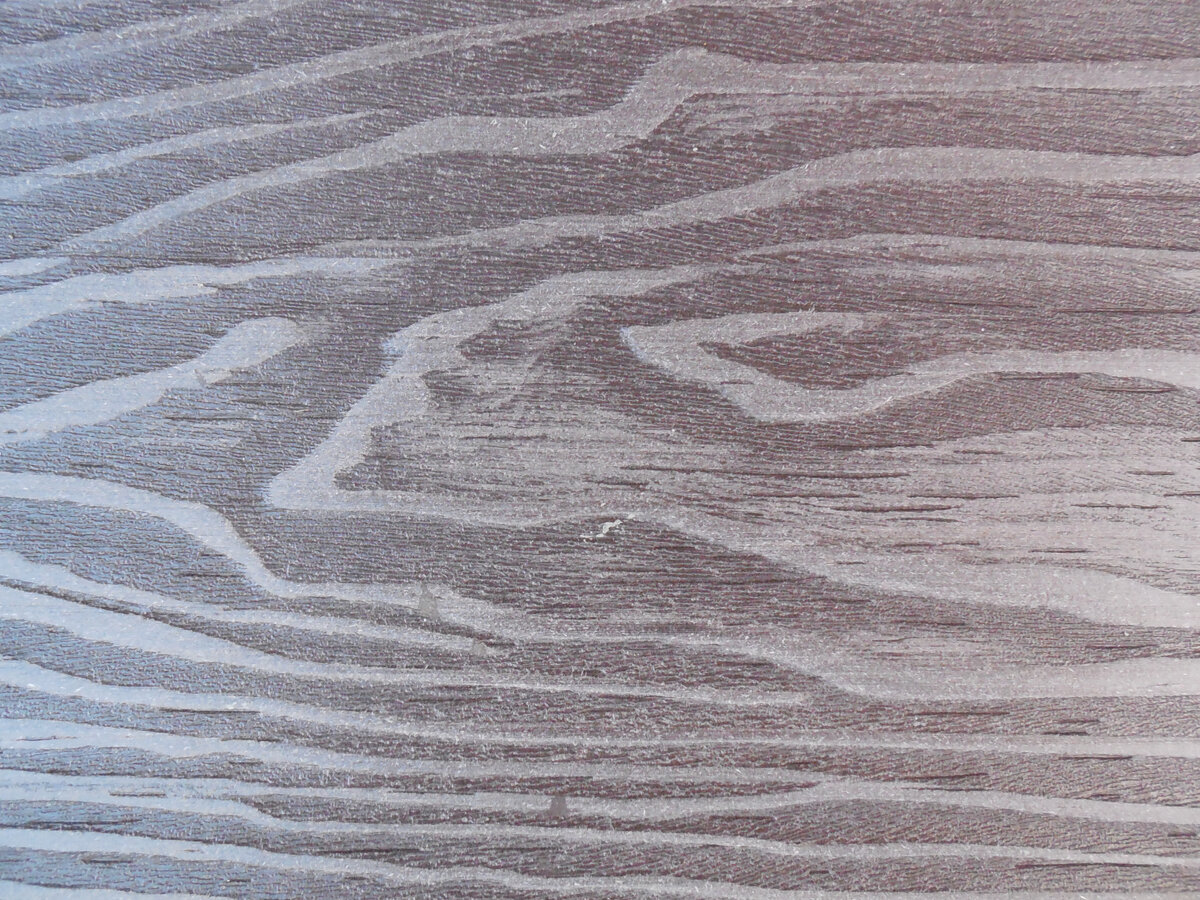 Угадаете, что это? Дерево или не совсем дерево?