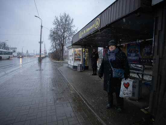     Плюсовые температуры прогнозируются в Псковской области 15 февраля / Александр Елисеев