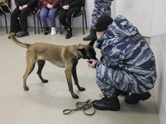     фото: МВД по Республике Карелия / ВК