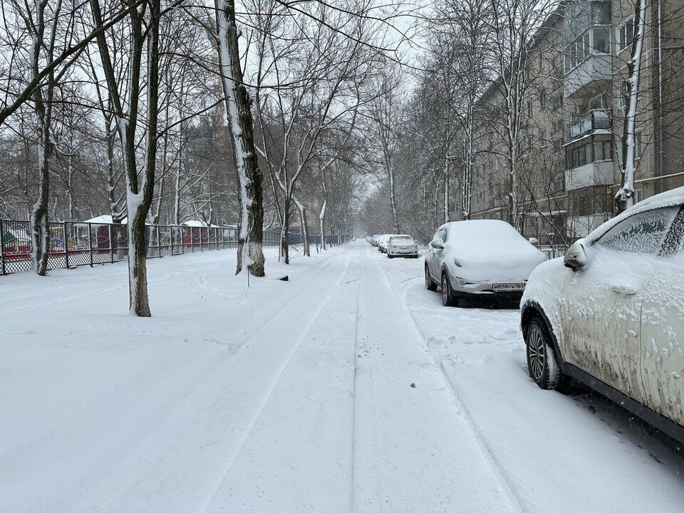     В Ростове впервые этой зимой выпал сильный снег. Лейла МИРИШОВА