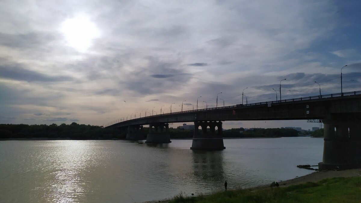     с 15 февраля контролировать ситуацию на дорогах города поручили Владимиру Куприянову и департаменту транспорта.