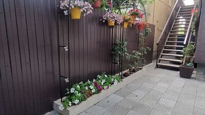 Вообще очень люблю летние цветы, особенно в горшках, такие, знаете, что б неприхотливые были и радовали глаз🙄