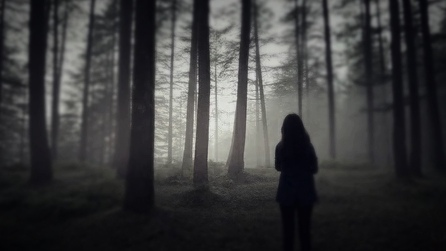 фото из общего доступа