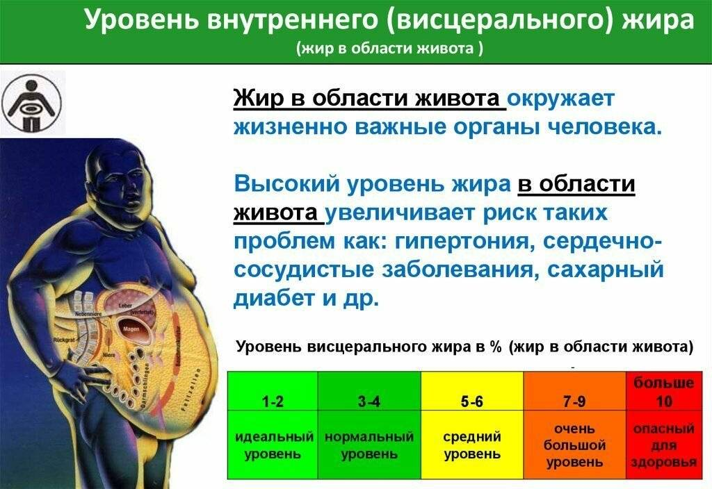 Если у человека большой и твердый живот, пора избавиться от висцерального жира