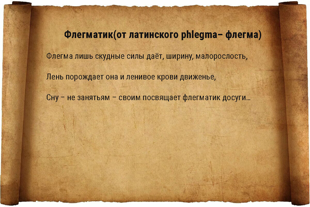 Интересная психология: 4 типа темперамента. Тест определит формулу вашего  темперамента | Спросите Машу! | Дзен