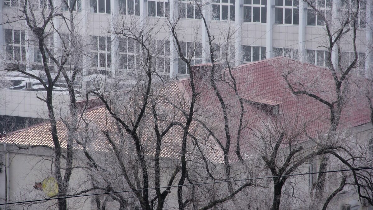     По данным Примгидромета, погода в Приморье на следующей неделе будет совсем не яркой масленичной: осадки будут то приходить, то уходить, а температура будет колебаться между отрицательными значениями. Однако к 23 февраля синоптическая ситуация немного успокоится.