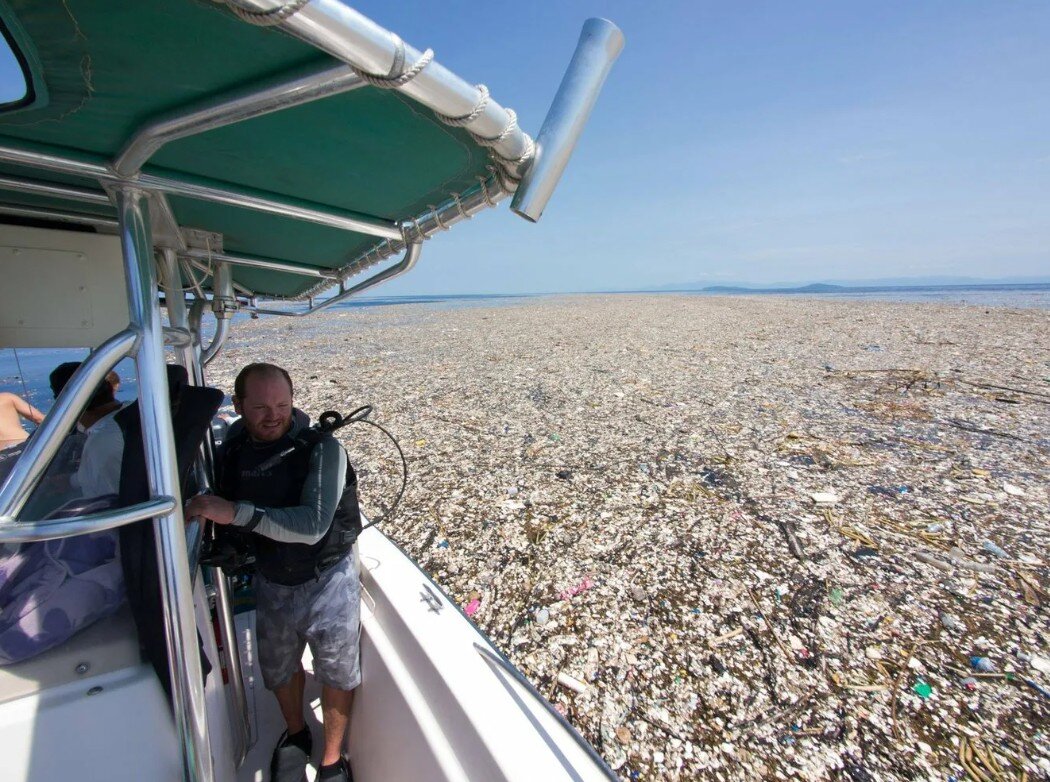 Никто не думал, что к 2020 году мы настолько сильно загадим мировой океан, что в нём сможет образоваться мусорное пятно размером с Монголию.
