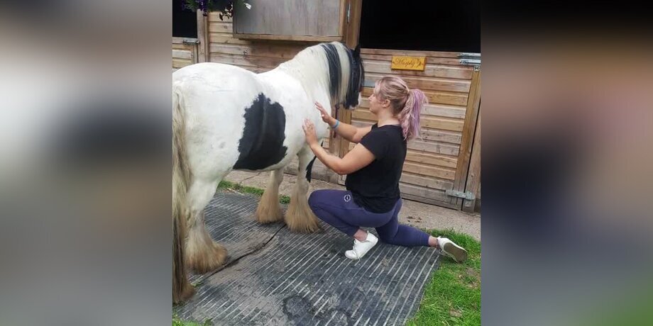 Фото: tiktok.com/@the_animal_psychic