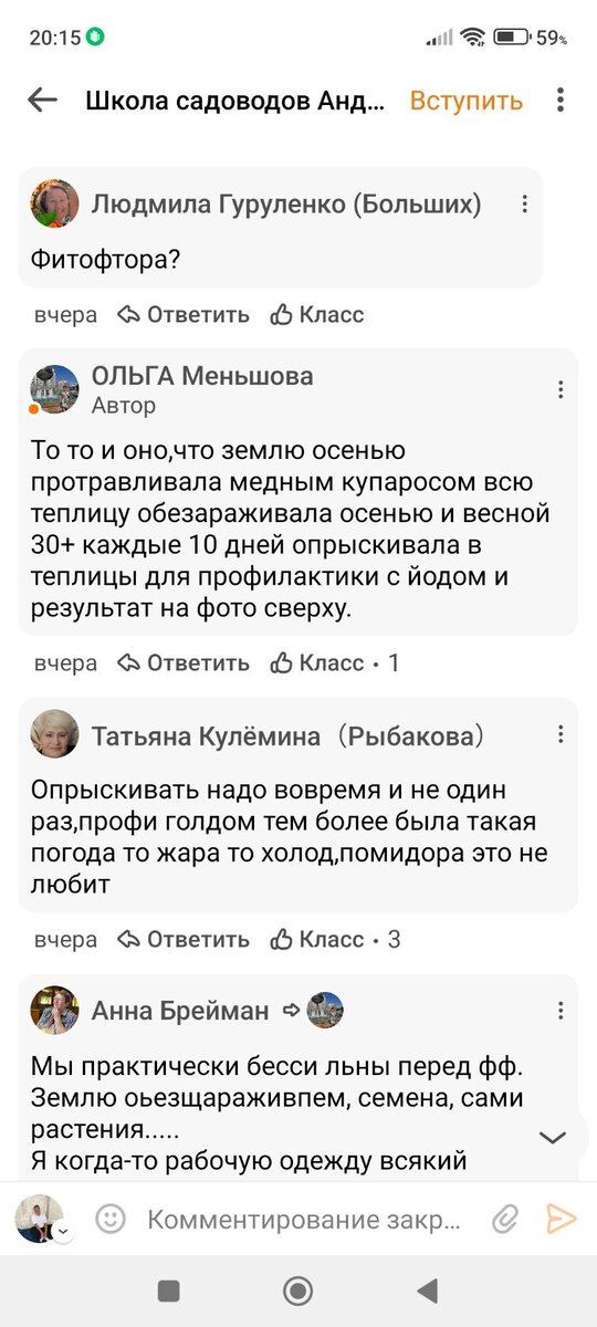 Не работают "народные" средства против фитофтороза! | Сад Жизни | Дзен