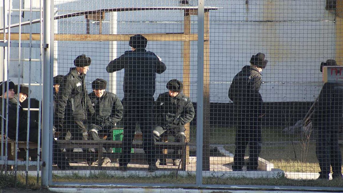 Колония особого режима список. СИЗО 1 Красноярск. Черный Беркут колония особого режима.