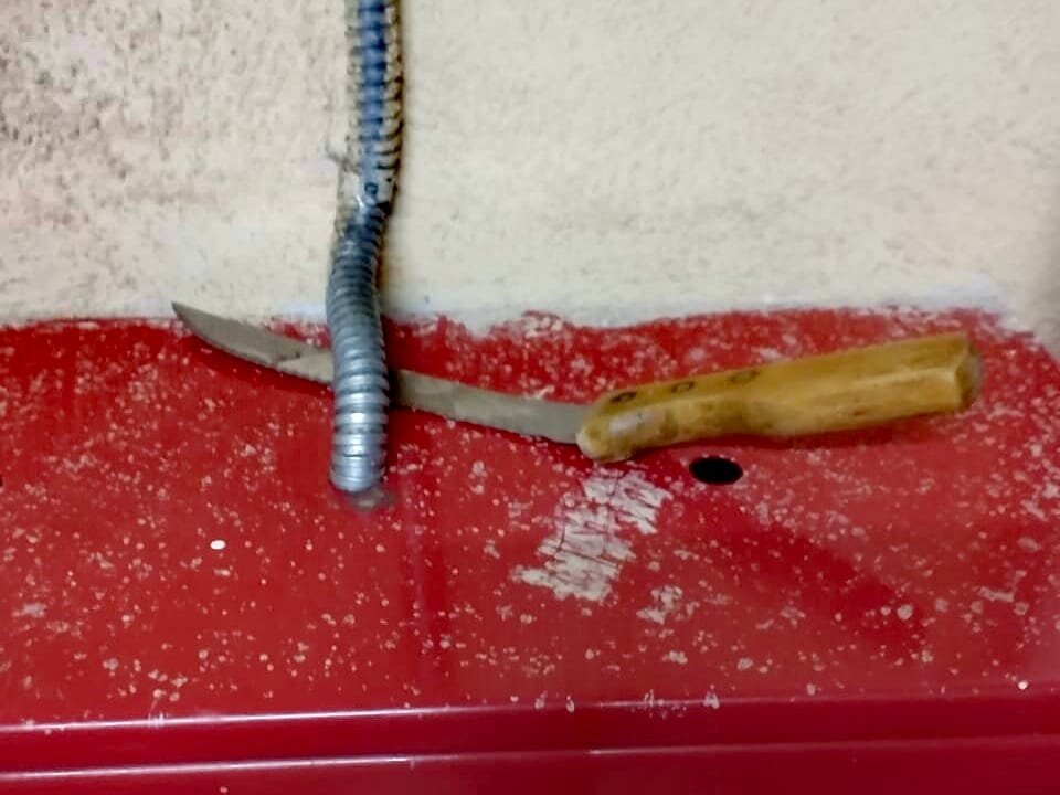 Фото: ГУ Росгвардии по СПб и ЛО