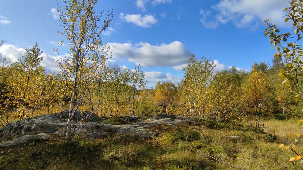 из мурманска обо всем