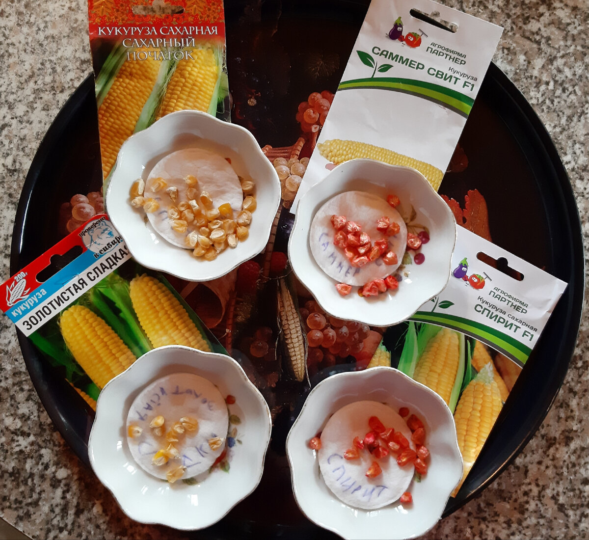 25.04.23. Фото автора.