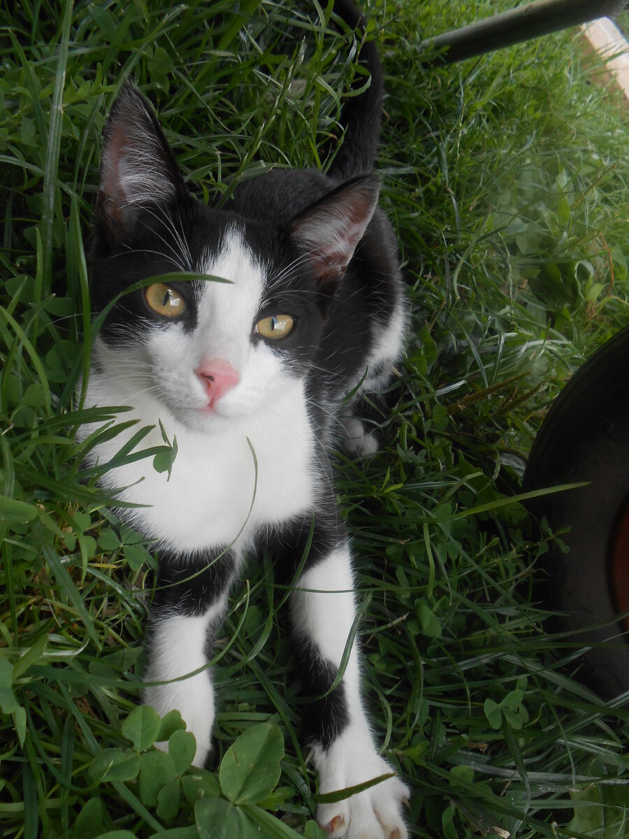  Это я в деревне :3