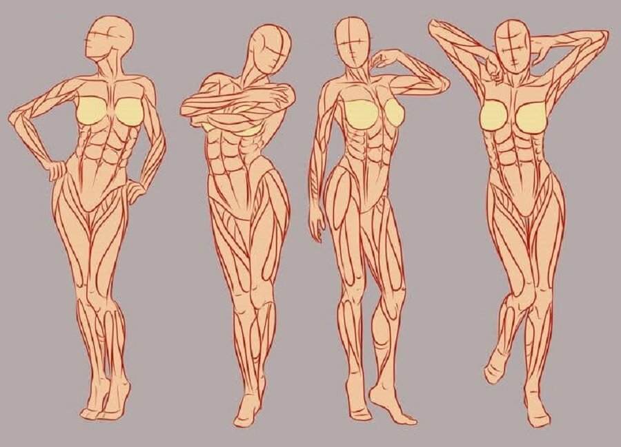 Четыре позы девушки.