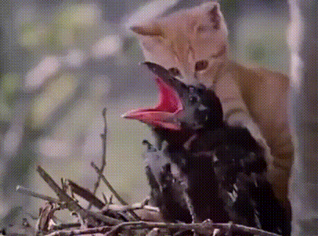 Чё орёшь? Закройся уже!