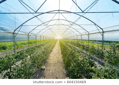 Примерно такую. Честно-честно...