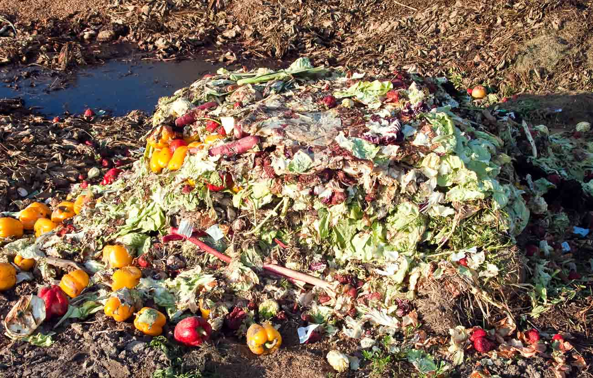 Отходы общественного питания. Пищевые отходы. Органические отходы. Утилизация пищевых отходов. Свалка пищевых отходов.