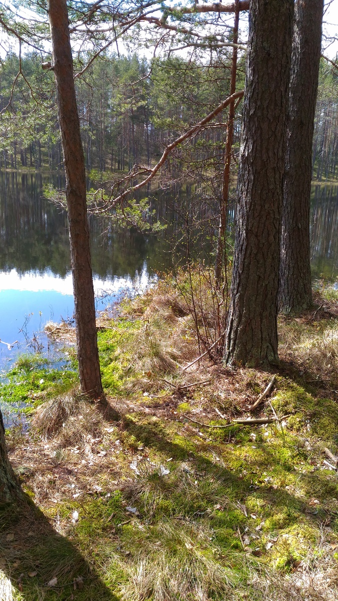 Кто бы мог предположить, что в такой местности клещи вдруг будут прыгать. Не было еще такого!