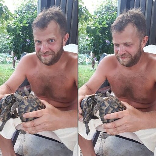 Знакомим черепах друг с другом