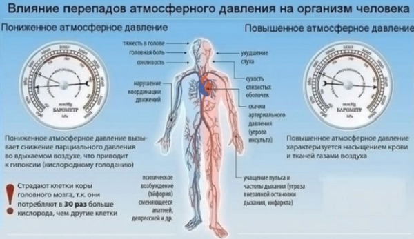 фото: https://lifegid.com