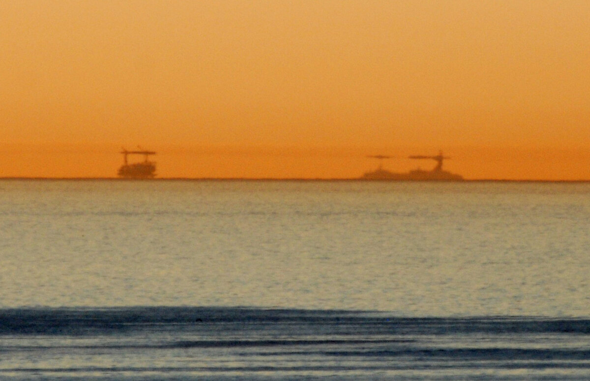 (Картинка взята из свободного поиска "Яндекс" URL: https://yandex.ru/images/search?img_url=https%3A%2F%2Fwww.skepticblog.org%2Fwp-content%2Fuploads%2FDSC_0093.jpg&cbir_id=1871052%2F8U9Bo0Jku6xksSt9RX1qpQ&cbird=5&rpt=imagelike&pos=0)