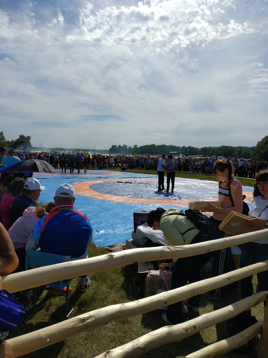 Национальная борьба куреш