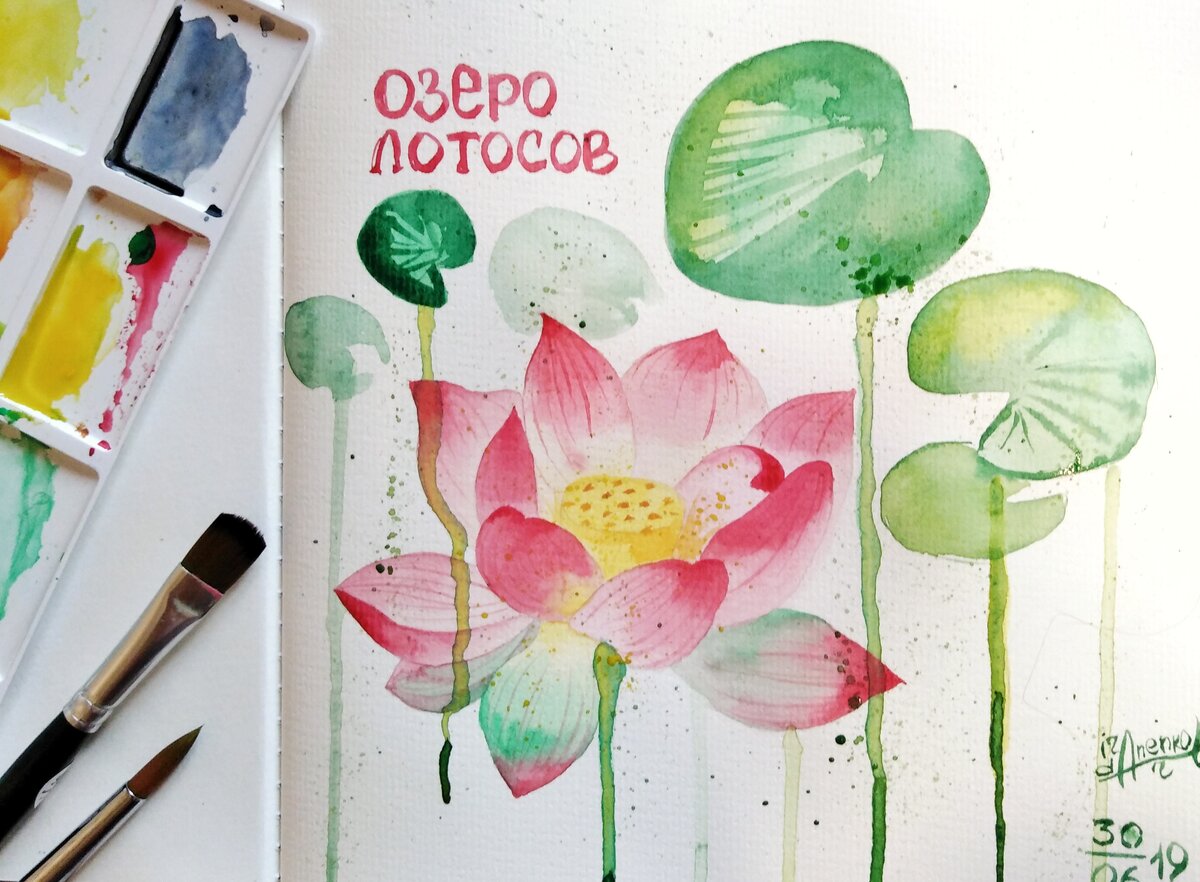 Иллюстрация лотоса Комарова, 30.06.19, Ira.Danenko.Art.