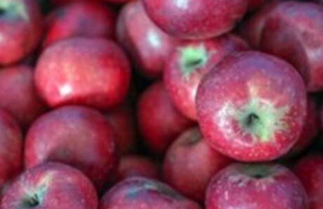 Гызыл-ахмед