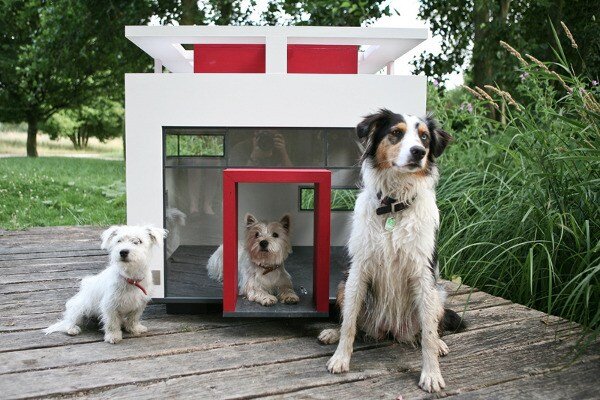 Hundehaus Cubix: Modern Doghouse