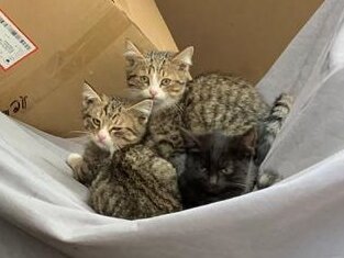 Сёма в центре