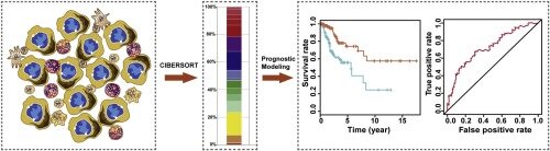 https://www.sciencedirect.com/science/article/pii/S0753332219330768