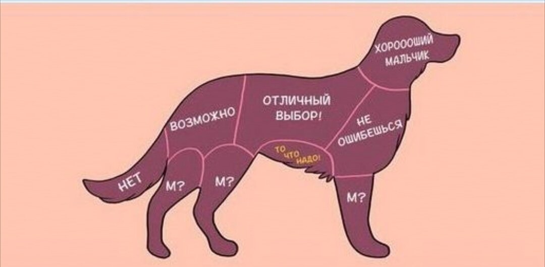 Будет наглядно 