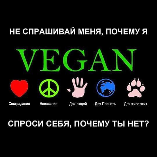 ... и напиши ответ в комментарии ✍🏻