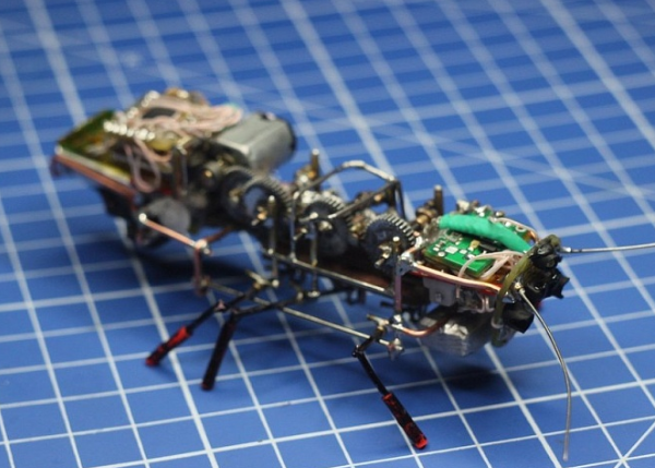 Фото взято из открытых источников