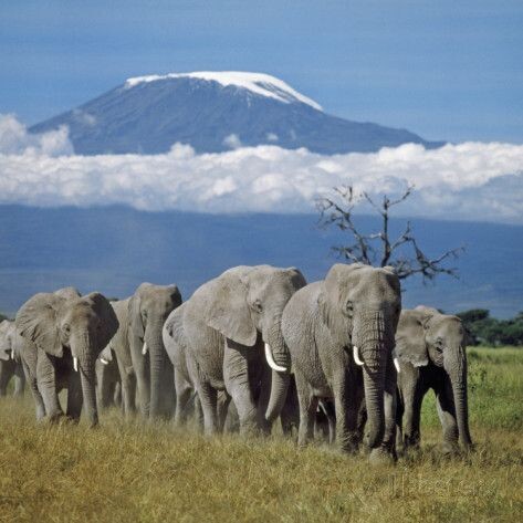 pinterest.ru/pin/589408669967718364/