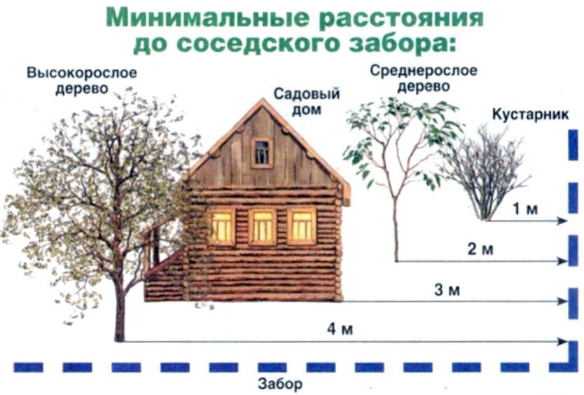 Что можно сделать, если не устраивает забор соседа