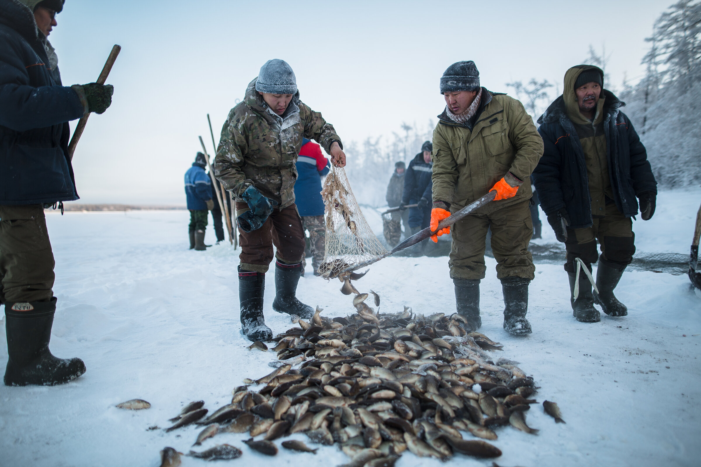 Как добывают рыбу зимой в глухой Сибири на реке Обь - всё официально, не браконьерство
