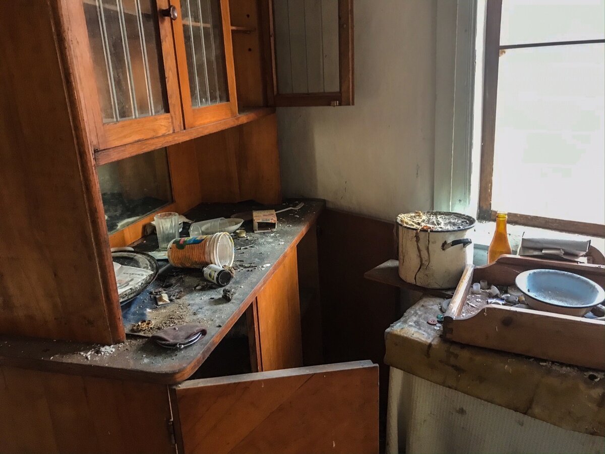 Что оставили в домах самосёлы Чернобыля?