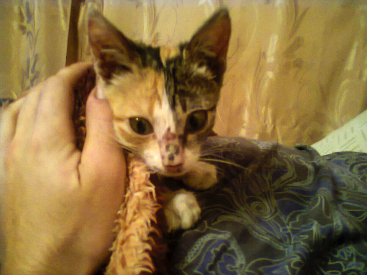 Первый день дома