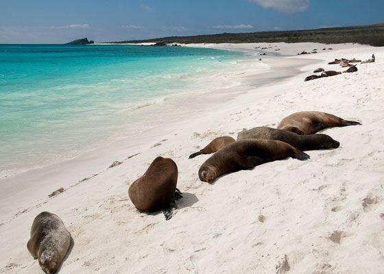 2. Галапагосские острова 