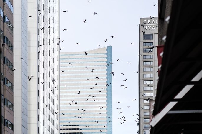 Почему в Нью-Йорке решили запретить строить здания из чистого стекла