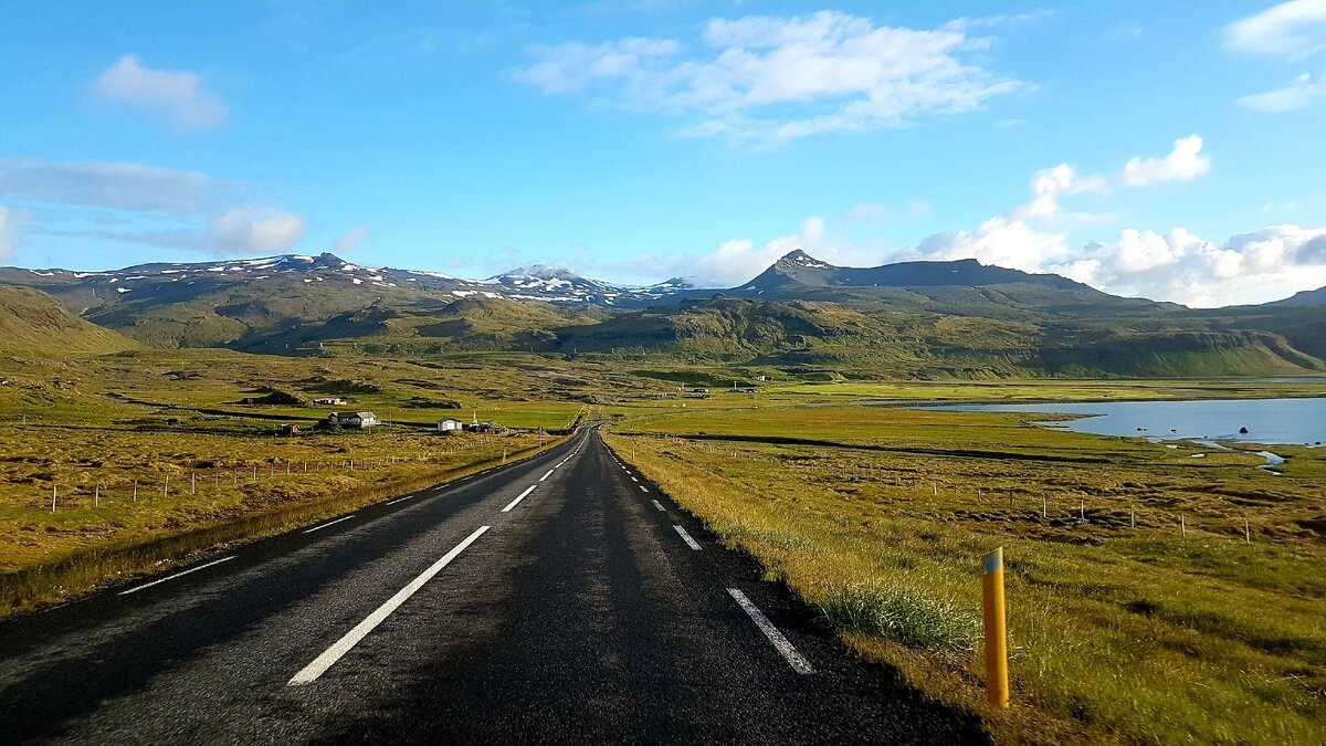 Вот вдоль таких дорог стоят подобные лавки.