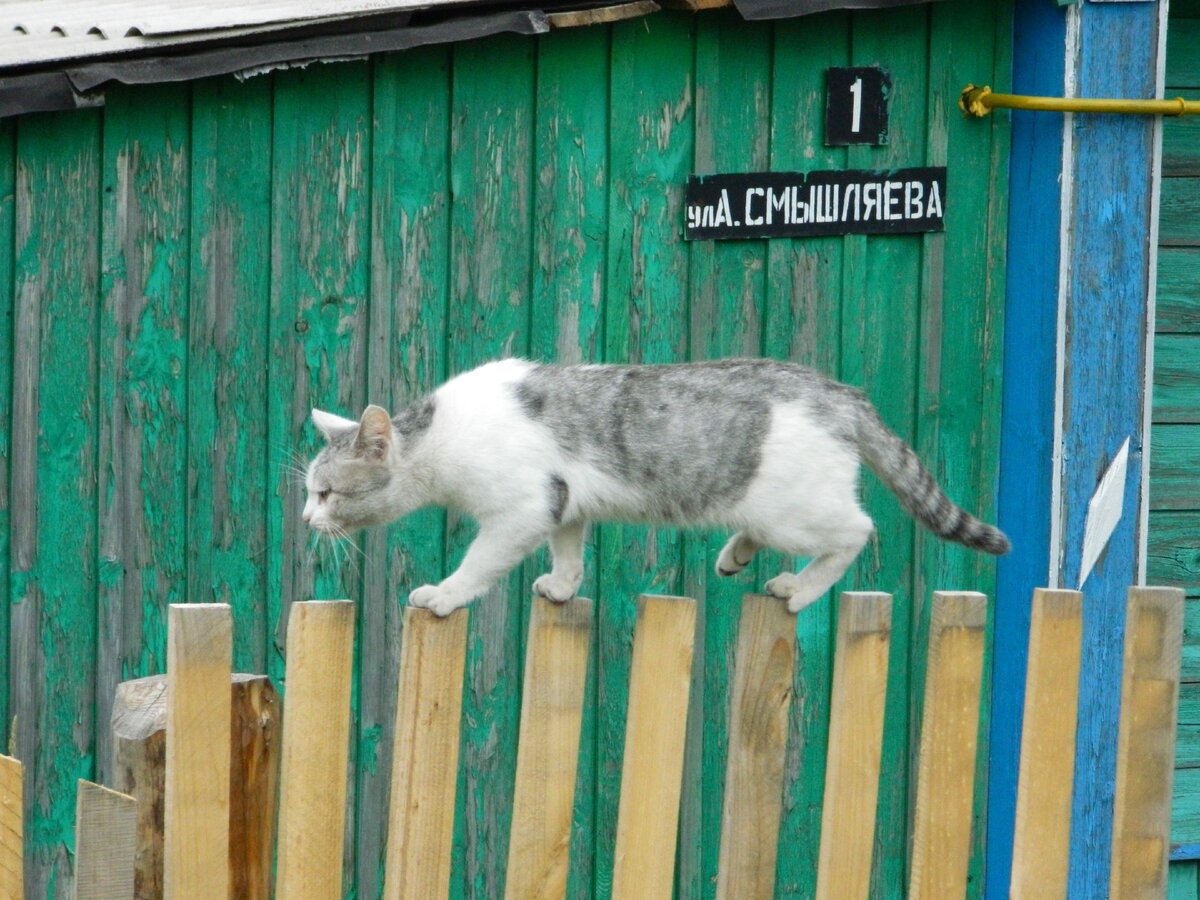 Мои знакомые поменяли квартиру на дом в пригороде, а сейчас жалеют. Почему  | Дачный дневник пенсионерки | Дзен