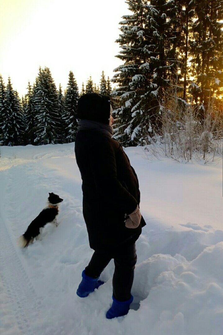 Деревня, девушка, собака