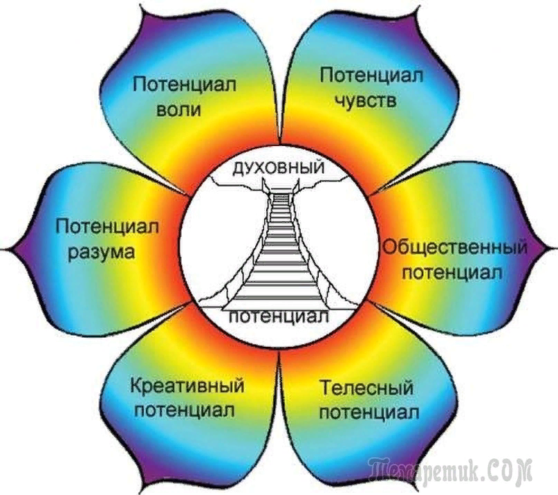 Духовные дисциплины. Цветок потенциалов. Цветок потенциалов личности в психологии. Раскрытие потенциала личности. Цветок потенциала Ананьева.