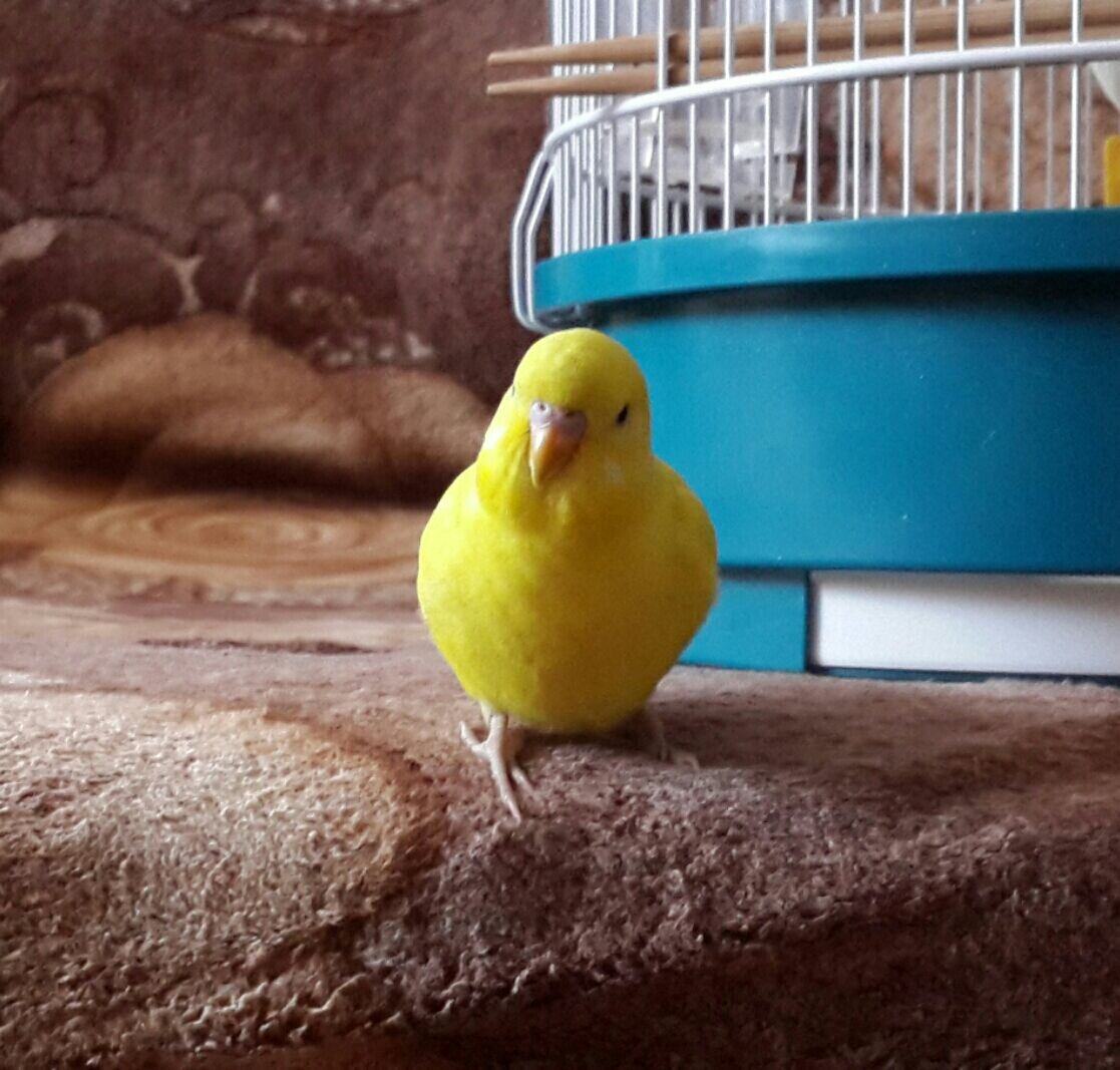 "Мне здесь 2 месяца"